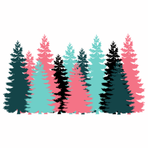 Der Schichtaufbau des Mischwaldes